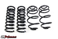 3050 - 1978-1988 G-Body Lowering Spring Kit, 1” Lowering